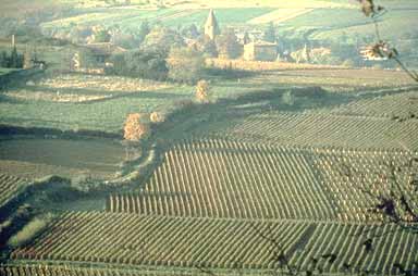 Beaujolais romantique